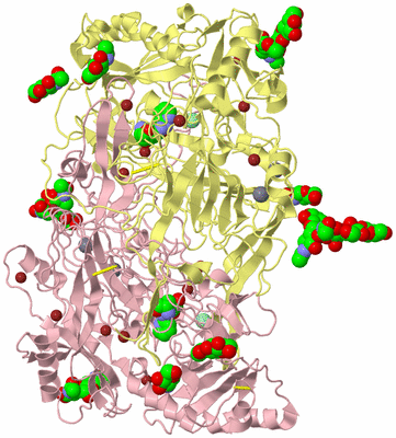 Image Biological Unit 2