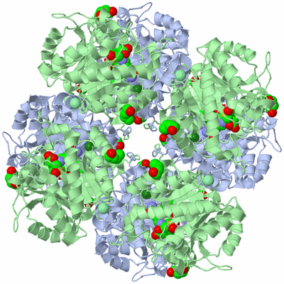 Image Biological Unit 1