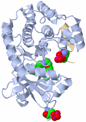 Image Asym./Biol. Unit