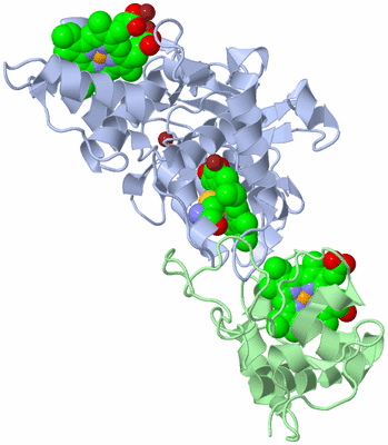 Image Biological Unit 1