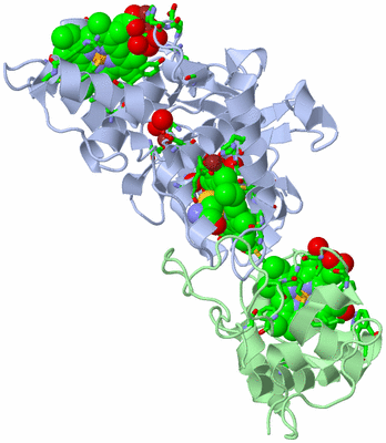 Image Biol. Unit 1 - sites