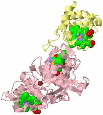 Image Biological Unit 2