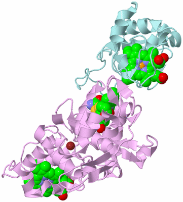 Image Biological Unit 3