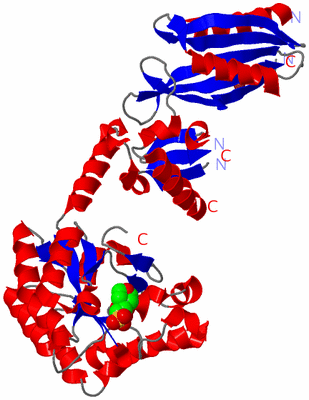 Image Asym./Biol. Unit