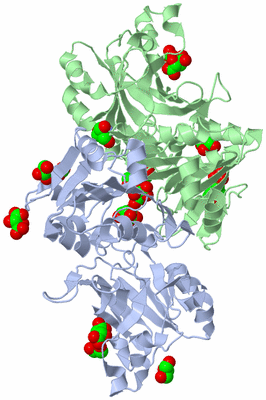 Image Asym./Biol. Unit