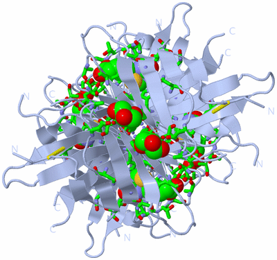 Image Biol. Unit 1 - sites