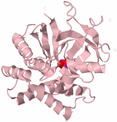 Image Biological Unit 3