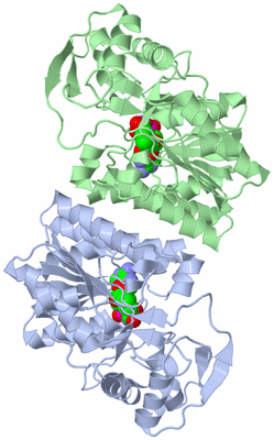 Image Biological Unit 1