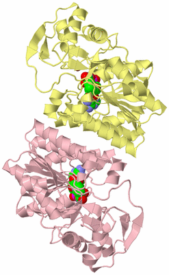 Image Biological Unit 2