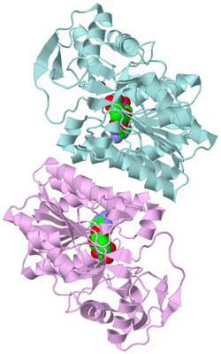 Image Biological Unit 3