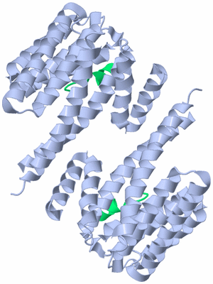 Image Biological Unit 1