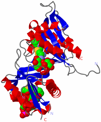 Image Asym./Biol. Unit