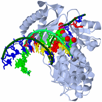 Image Biological Unit 1