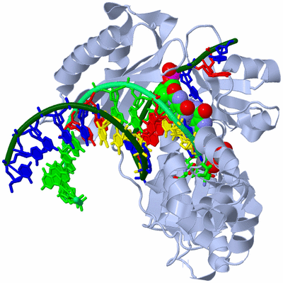 Image Biol. Unit 1 - sites