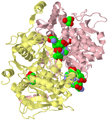 Image Biological Unit 2