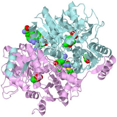 Image Biological Unit 3