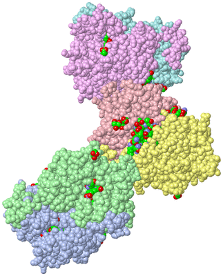 Image Asym. Unit - sites