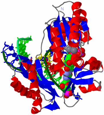 Image Asym./Biol. Unit