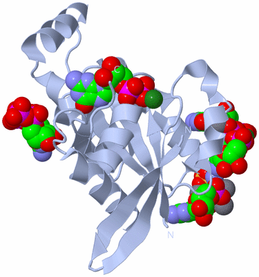 Image Biological Unit 1