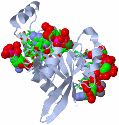 Image Biol. Unit 1 - sites