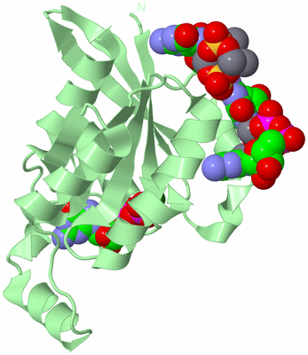 Image Biological Unit 2