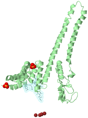 Image Biological Unit 2