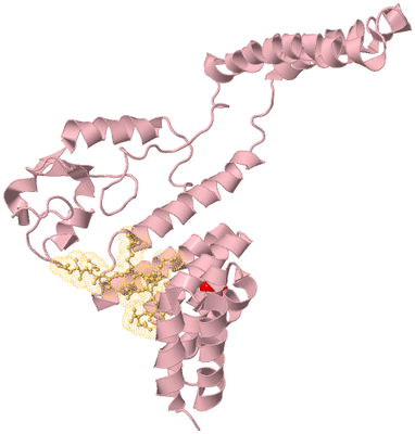 Image Biological Unit 3