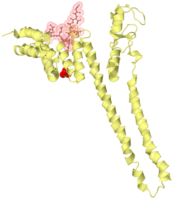 Image Biological Unit 4