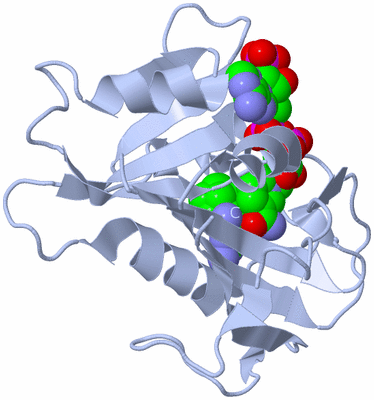 Image Biological Unit 1