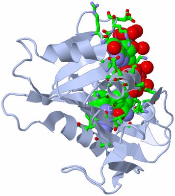 Image Biol. Unit 1 - sites