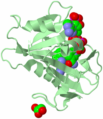 Image Biological Unit 2