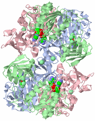 Image Biological Unit 1