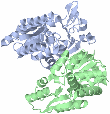 Image Asym./Biol. Unit