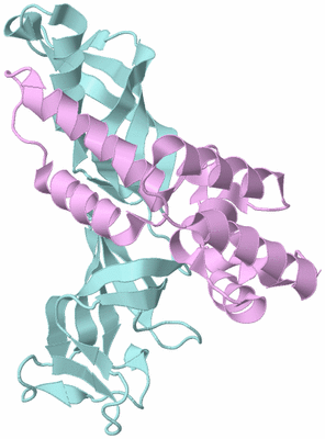 Image Biological Unit 3