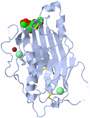 Image Biological Unit 1