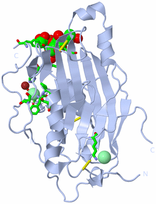 Image Biol. Unit 1 - sites