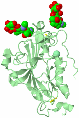 Image Biological Unit 2