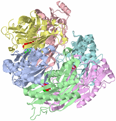 Image Biological Unit 1