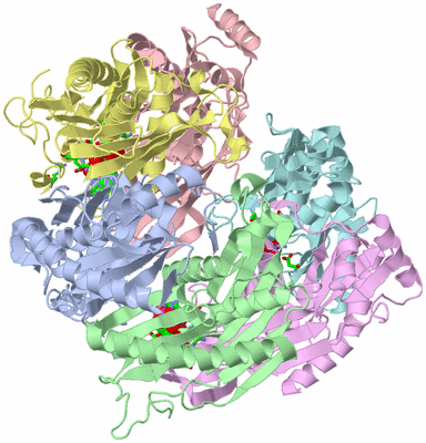 Image Biol. Unit 1 - sites