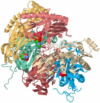 Image Biological Unit 2