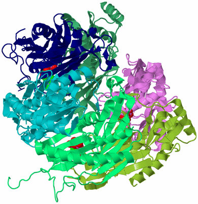 Image Biological Unit 3