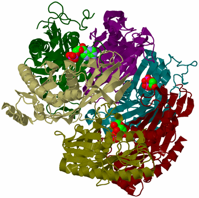 Image Biological Unit 4