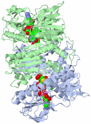 Image Asym./Biol. Unit