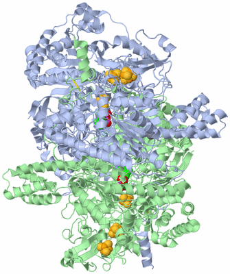 Image Asym./Biol. Unit