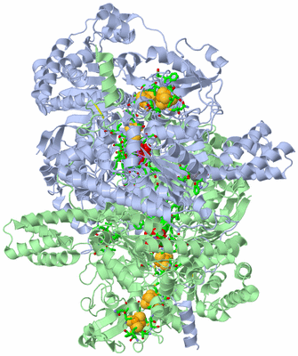 Image Asym./Biol. Unit - sites