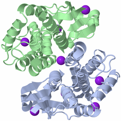 Image Biological Unit 1