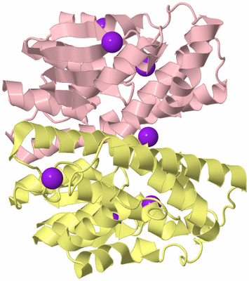 Image Biological Unit 2