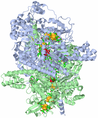 Image Asym./Biol. Unit - sites