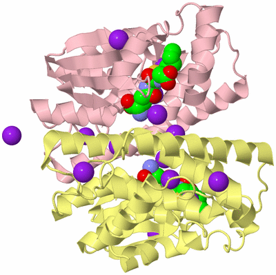 Image Biological Unit 2