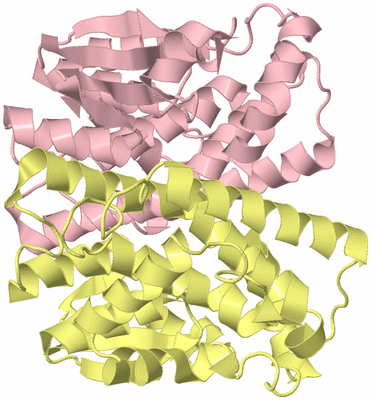 Image Biological Unit 2